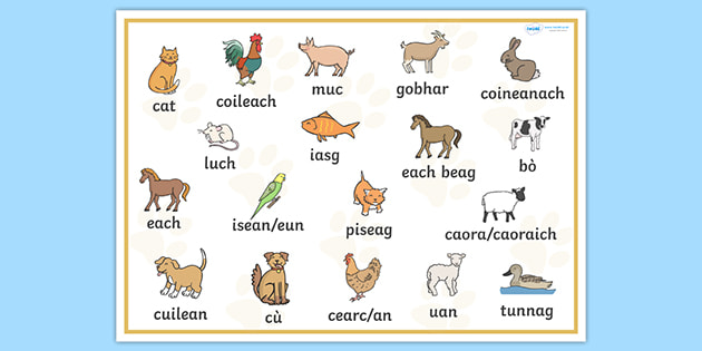 Scottish Gaelic Pets Word Mat