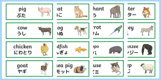 英語の動物カード 22枚入り 日本語入り 英語教材