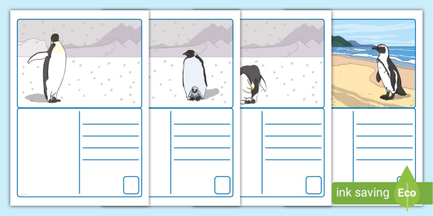 FREE! - Penguin Postcards (teacher made)