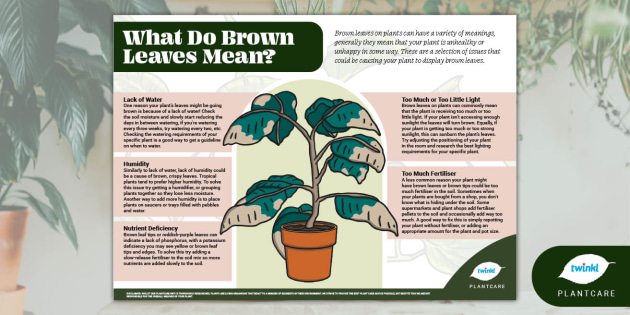 What Do Brown Leaves Represent