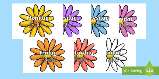 Days of the Week on Flowers English/Mandarin Chinese - Days of the Week on