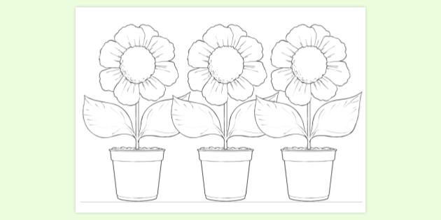 FREE! - Flower Full Page Colouring | Colouring Sheets