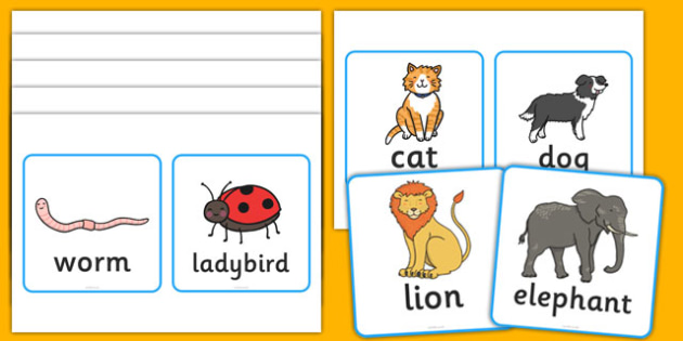 Vertebrates Or Invertebrates Sorting Activity