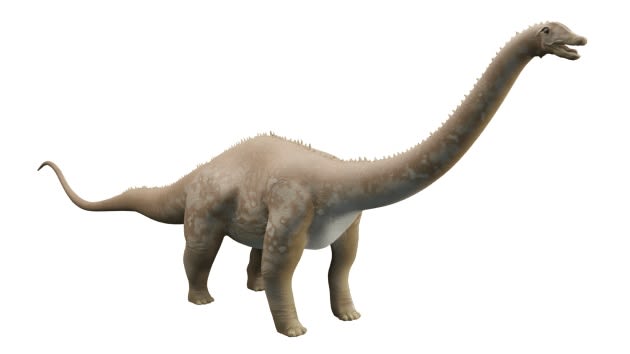 FREE! - 3D Model: Dinosaurs - Diplodocus (profesor hizo)