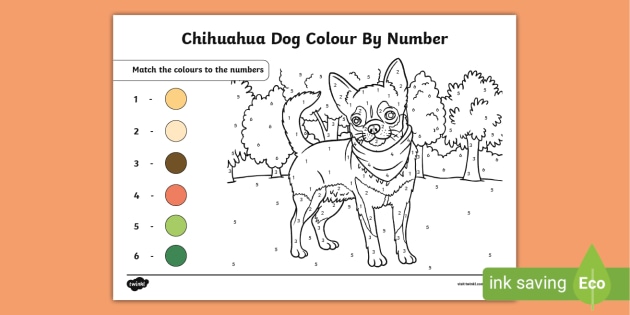 FREE! - Chihuahua Dog Colour By Number (teacher made)