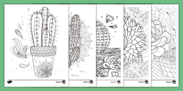 cactus and succulent coloring pages