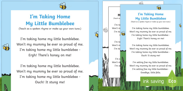 I'm Taking Home My Little Bumblebee Song (teacher made)