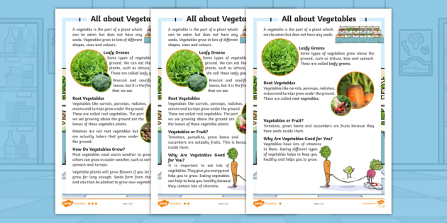 Carrot Club All about Vegetables Differentiated Fact File