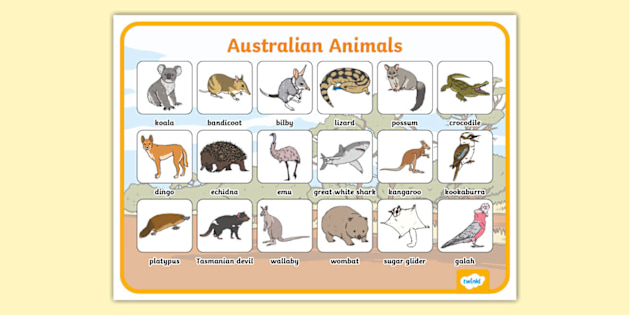 絵本・英語　Australian Animals Amazon.com: ABC of Australian Animals: 9781760501853