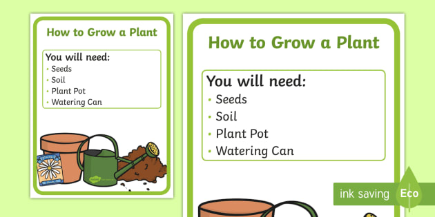 * NEW * How to Grow a Plant Posters - early childhood science