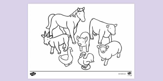 farm animals colouring page pdf colouring sheets