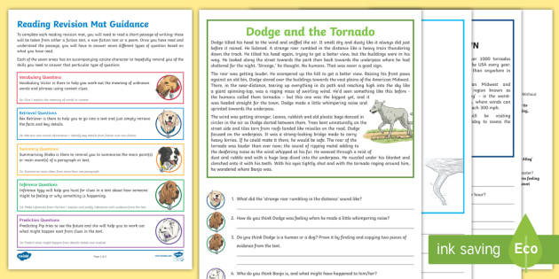 Year 4 Reading Revision Activity Mat Pack 2 (teacher made)