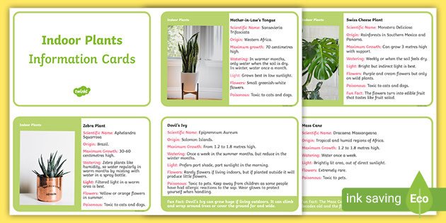 Plant information Cards,Facts About Plants Collector Cards Backyard edition. 