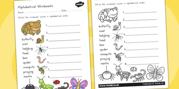 Minibeasts Cute Alphabet Ordering Worksheet (teacher Made)