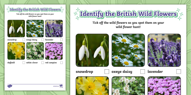 t-tp-1711630946-identify-