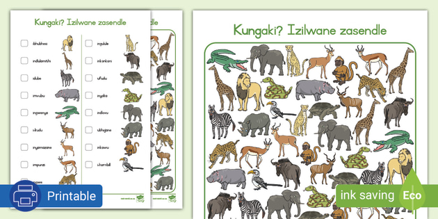 Kungaki? Izilwane zasendle - I Spy Wild Animals isiZulu