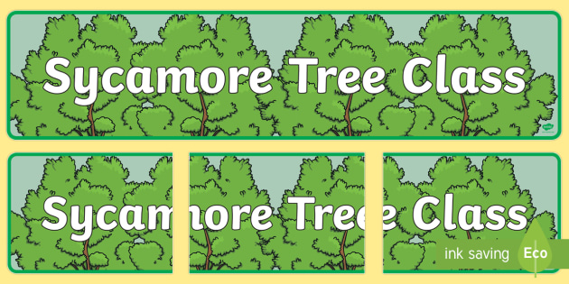 Free Sycamore Themed Classroom Display Banner