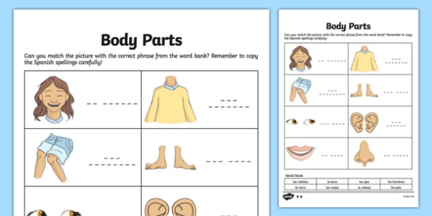 Spanish My Body Body Parts Worksheet