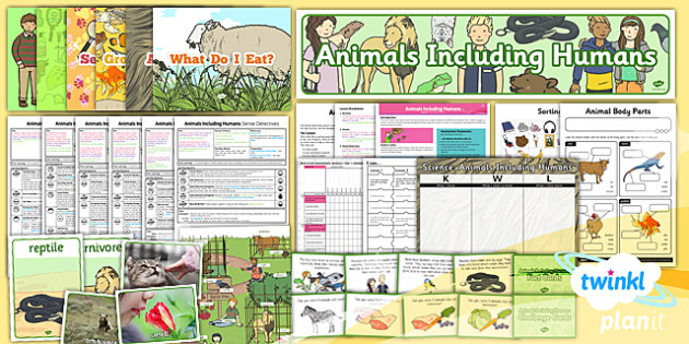 Science: Animals Including Humans Year 1 - Unit Pack