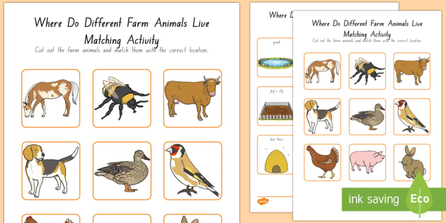 Where Do Different Farm Animals Live Match Activity Australia