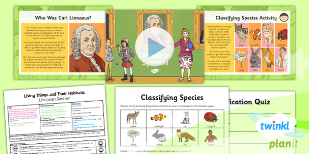 Linnaeus Classification System For Kids