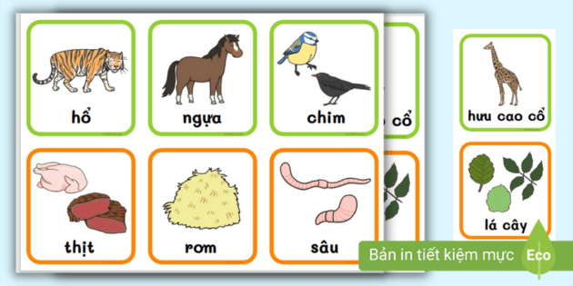 động Vật Fisher Price Little People World Of Animals Thẻ Học Động