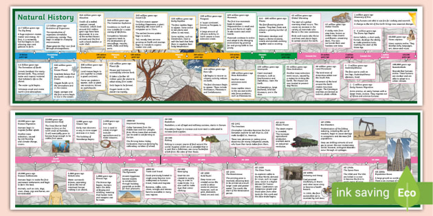 History Timeline Poster   T2 H 6017 Natural History Timeline Display Poster  Ver 3 