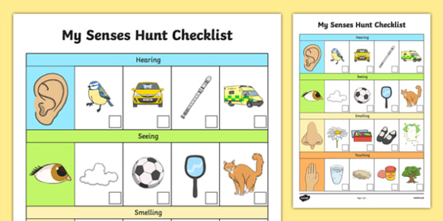 Eyfs My Senses Hunt Checklist Creat De Profesori 2137