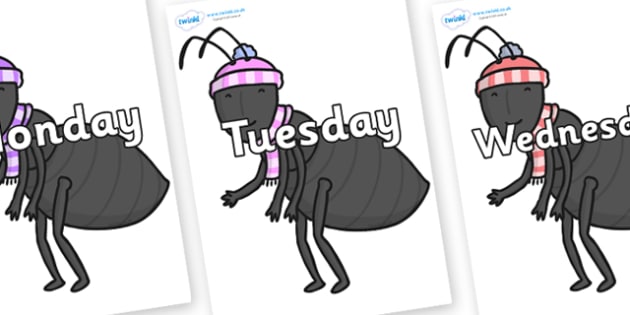 Days of the Week on Ant