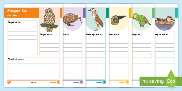 New Zealand Animals Fact File Worksheet / Worksheets, worksheet
