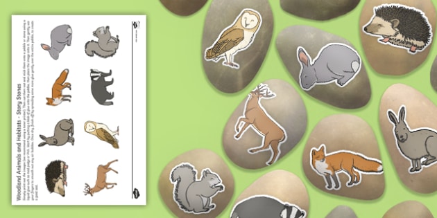 Woodland Animals and Habitats Story Stone Image Cut-Outs Woodland Animals and Habitats Story Stone Image Cut-Outs