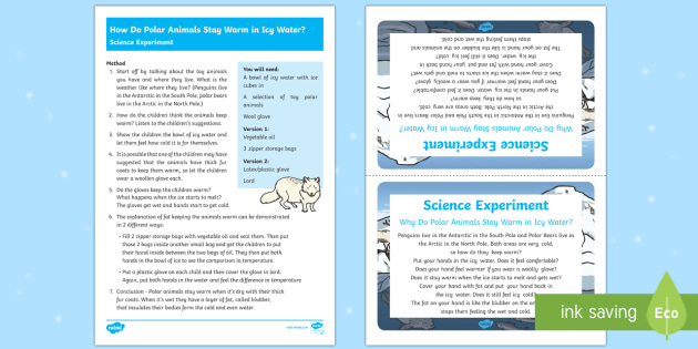 Arctic Animals Preschool Science: Blubber and Ice Explorations! • The  Preschool Toolbox Blog
