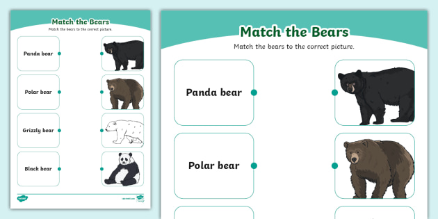 t-sc-1708678636-bears-matching