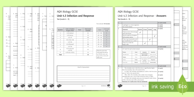 cheap research paper chapter 4