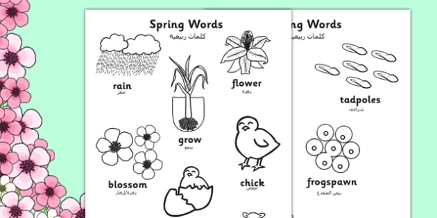 spring words coloring sheets arabic translation