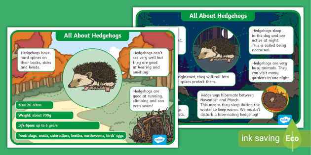 Hedgehogs Can't Swim: March 2022