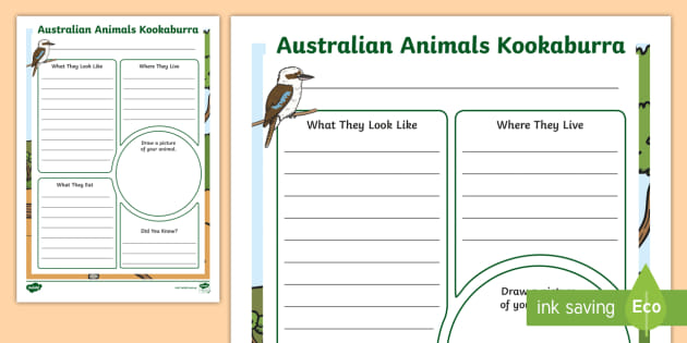 Australian Animals Kookaburra Information Report Writing Template