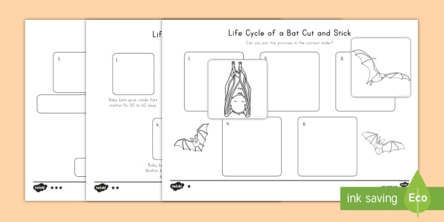 Bat　of　Life　Paste　Cut　Twinkl　Cycle　Worksheet　a　and