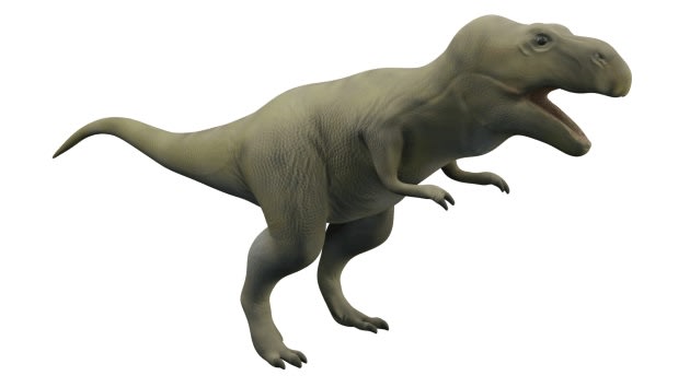 Dinossauro T-Rex 3D