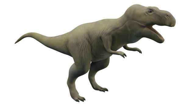 Tyrannosaurus Rex 3D Dinosaur