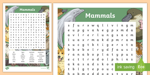 Australian Animals Years 3-6 Mammals Word Search