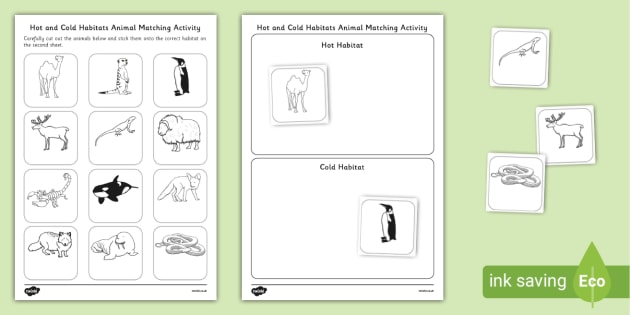 Hot and Cold Habitats Animals Sorting Worksheet - Twinkl