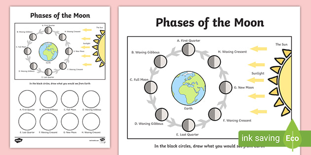 Phases of the Moon Worksheet | Science Resource | Twinkl USA