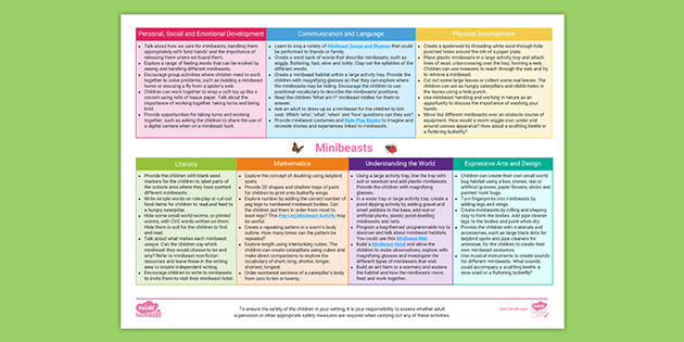 EYFS Topic Planning Web Minibeasts (teacher made)