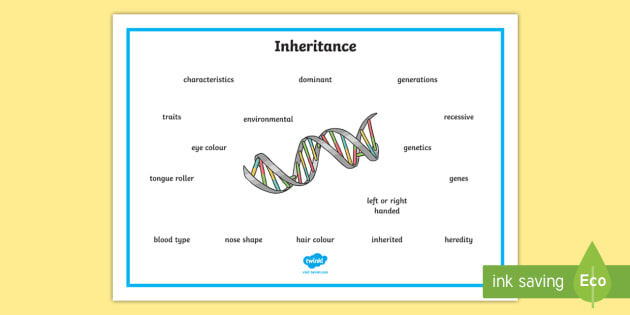 Inheritance Word Mat