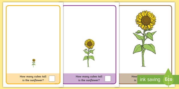 https://images.twinkl.co.uk/tw1n/image/private/t_630/image_repo/f9/e1/T-T-289700-Sunflower-Measuring-with-Cubes-Activity-Mat_ver_1.jpg