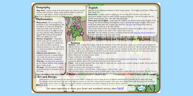 Forest And Woodland Lesson Plan Ideas Ks1 Teacher Made