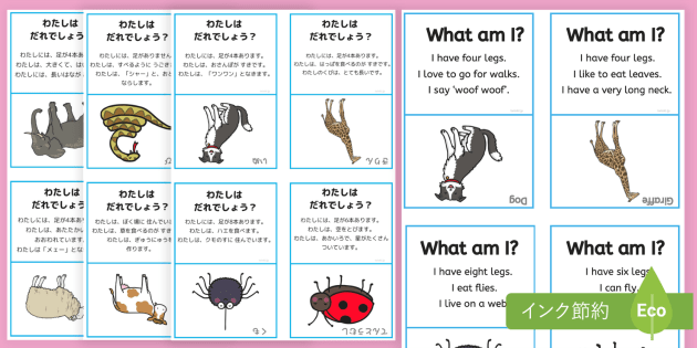 わたしはだれでしょう？】動物のカードゲーム 日本語版 What Am I