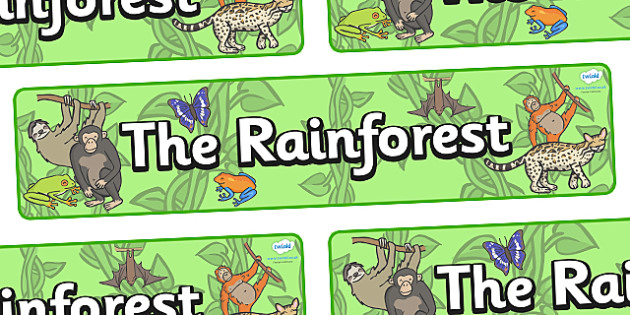 Free The Rainforest Display Banner Teacher Made