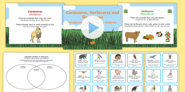 Herbivores, Carnivores & Omnivores Activities English/German